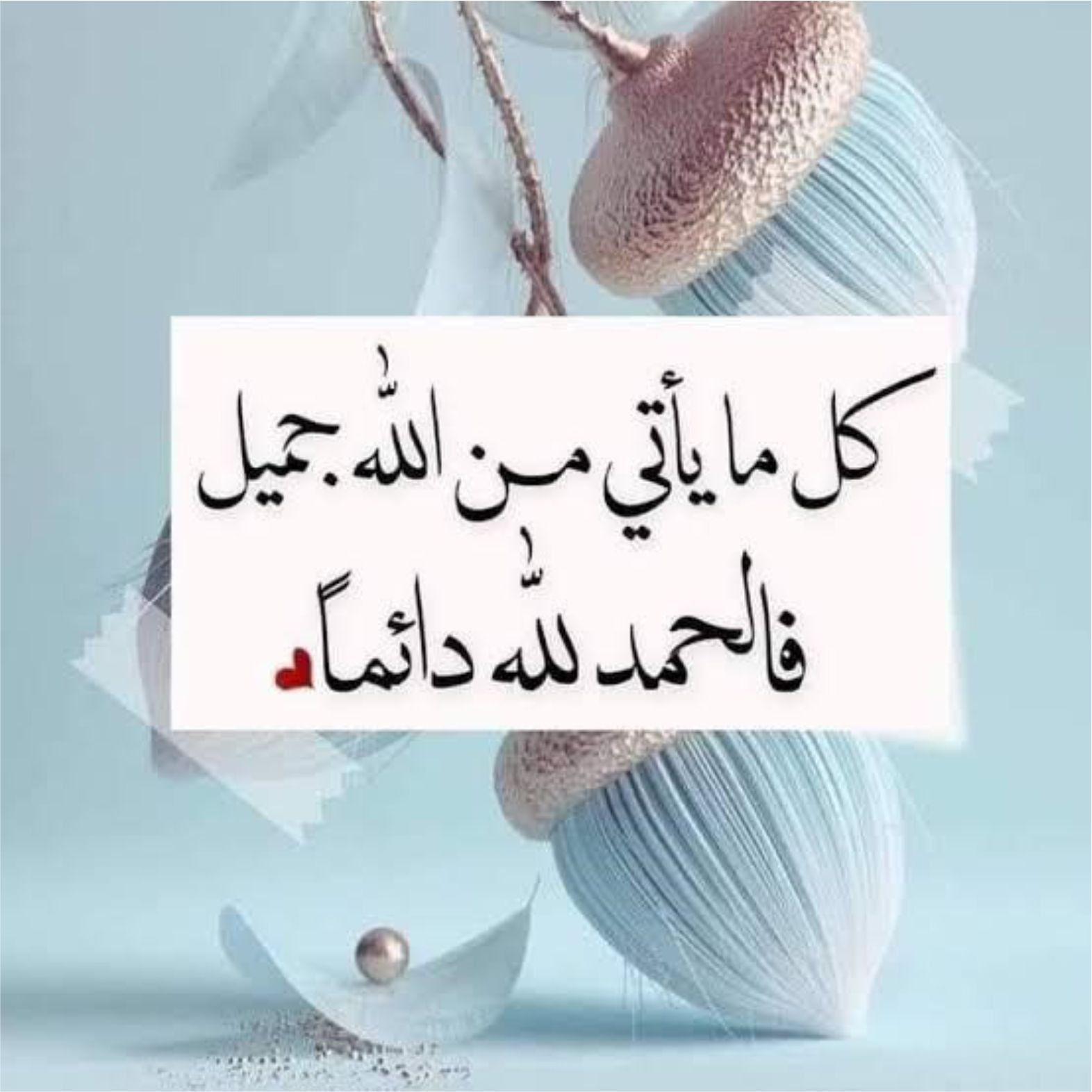 best prayer to say when you dream, what to say when you have a good dream, prophetic and sunatic prayer upon seeing a bad dream, best adhkar to say Prayer after  a nightmare