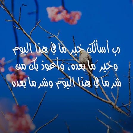 best alfa to coordinate/anchor your birthday ceremony, best islamic cleric to call for your birthday ceremony, best islamic organization  to hire for your birthday ceremony in lagos abuja nigeria africa