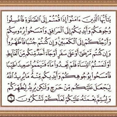 best online arabic school to learn quran, how to recite quran, best online islamic school to study quran recitation, steps of reading al quran, best online madrasah to read quran, how to develop my arabic reading, best alfa learn quran from