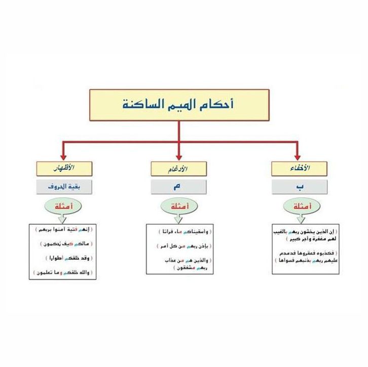 best alfa to teach you tajweed, top best islamic cleric to teach you how to read quran fluently, best online madrasah to teach you arabic phonetics, best online arabic school to learn how to read quran  in lagos abuja nigeria africa.