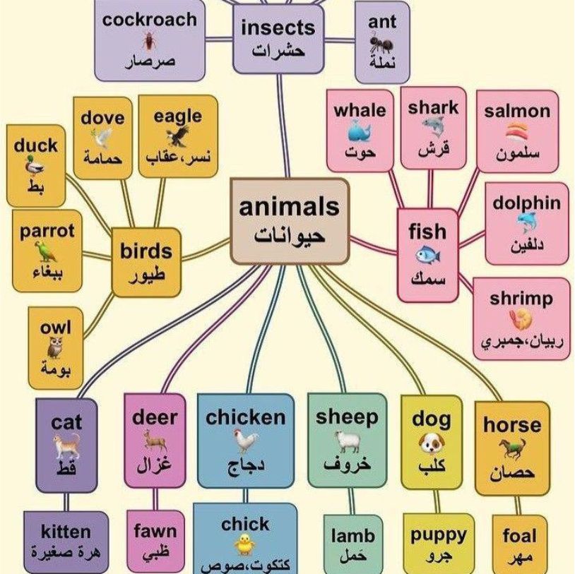best alfa to teach you how to speak  arabic, best islamic cleric to teach you arabiyyah, best online madrasah to teach you how to hear arabic, best online arabic school to teach you how to know arabic, in lagos abuja nigeria africa.