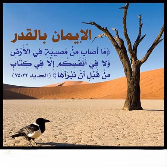 What is faith in destiny, definition of faith in fate, importance of having faith in divine decree, component of faith, iman bil-qadar and its component, classification of faith, Best online madrasah to learn about islam by mudkhalul karim in Lagos, Abuja, Nigeria, Africa, South africa, Canada, United kingdom, Dubai, America, Saudi arabia, United state, United arab emirate, North america, Europe country, Mecca.