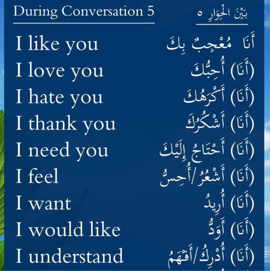 best alfa to teach you how to speak  arabic, best islamic cleric to teach you arabiyyah, best online madrasah to teach you how to hear arabic, best online arabic school to teach you how to know arabic, in lagos abuja nigeria africa.