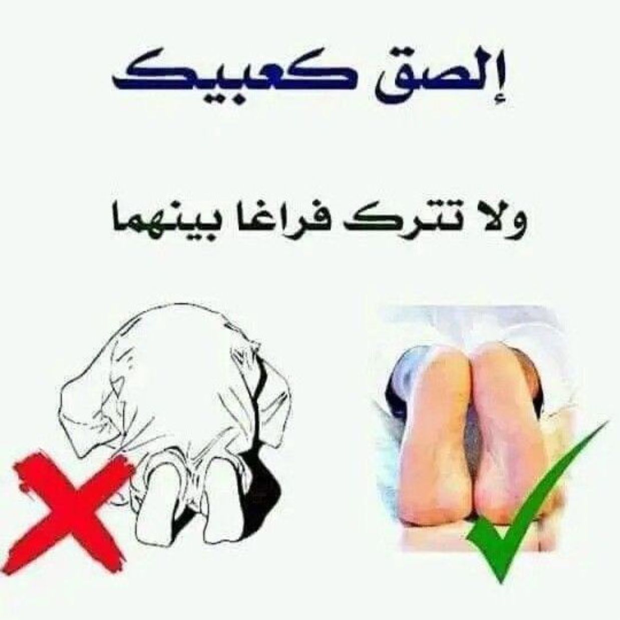 best alfa to teach you fiqh, top islamic cleric to teach you Islamic law, best online madrasah to learn shariah law in lagos abuja nigeria africa.