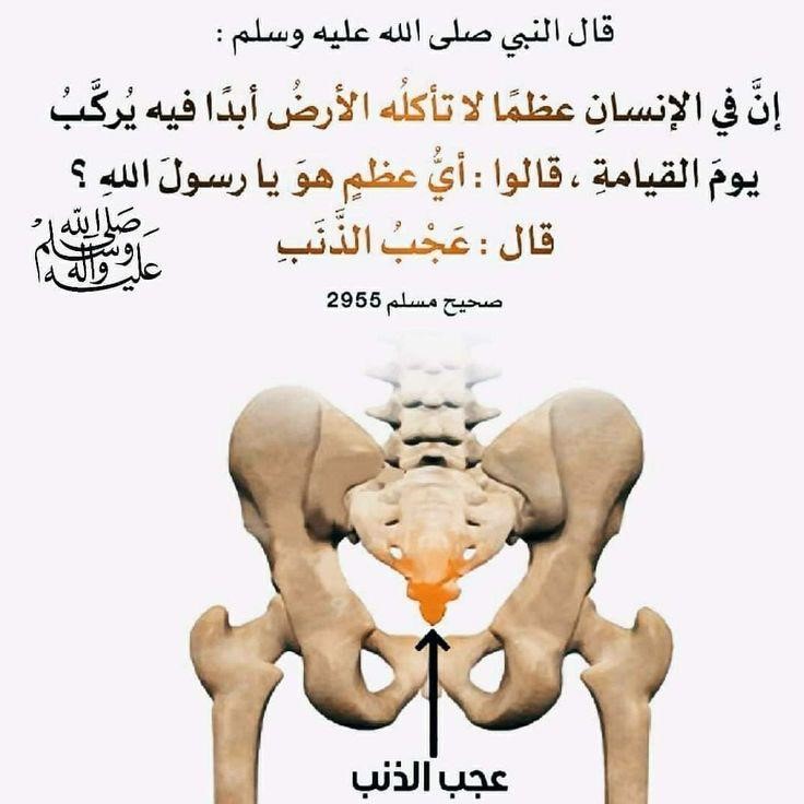 best alfa to teach you hadith, top islamic cleric to teach you hadith and sunnah, best online madrasah to learn hadith & sunnah, best online islamic school to learn hadith in lagos abuja nigeria africa.