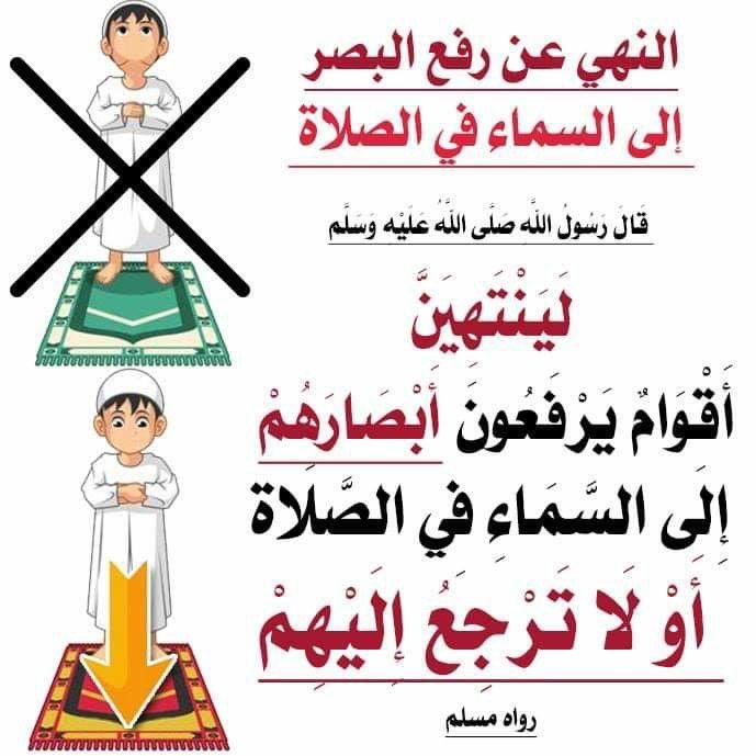 best alfa to teach you fiqh, top islamic cleric to teach you Islamic law, best online madrasah to learn shariah law in lagos abuja nigeria africa.