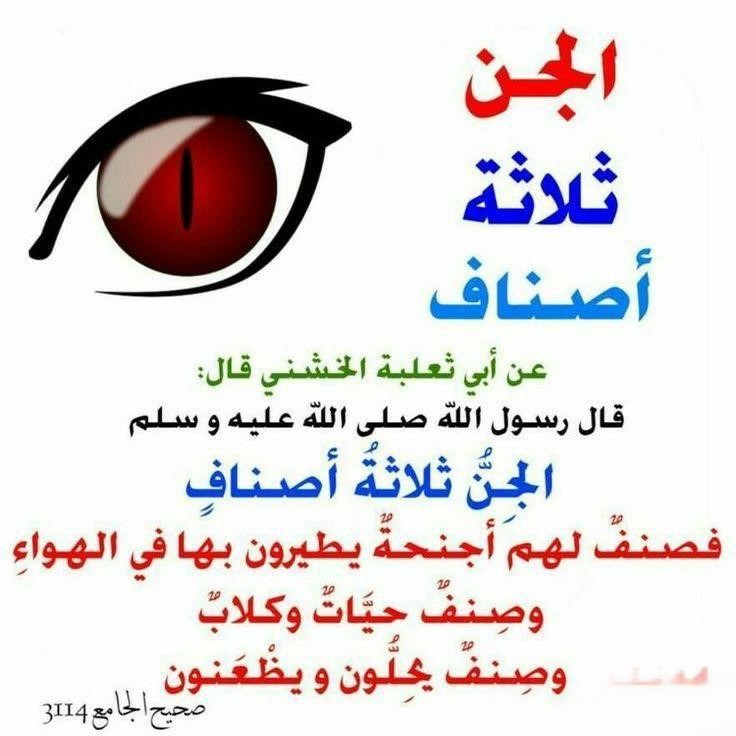 best alfa to teach you fiqh, top islamic cleric to teach you Islamic law, best online madrasah to learn shariah law in lagos abuja nigeria africa.