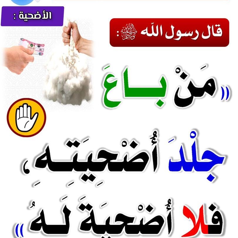 best alfa to teach you fiqh, top islamic cleric to teach you Islamic law, best online madrasah to learn shariah law in lagos abuja nigeria africa